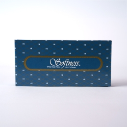 Society Hill Facial Tissue  Paper Products Janitorial Equipment Supplies